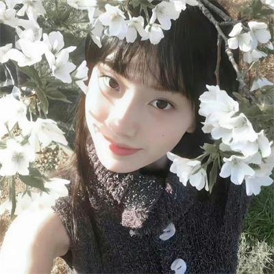哈比王传奇